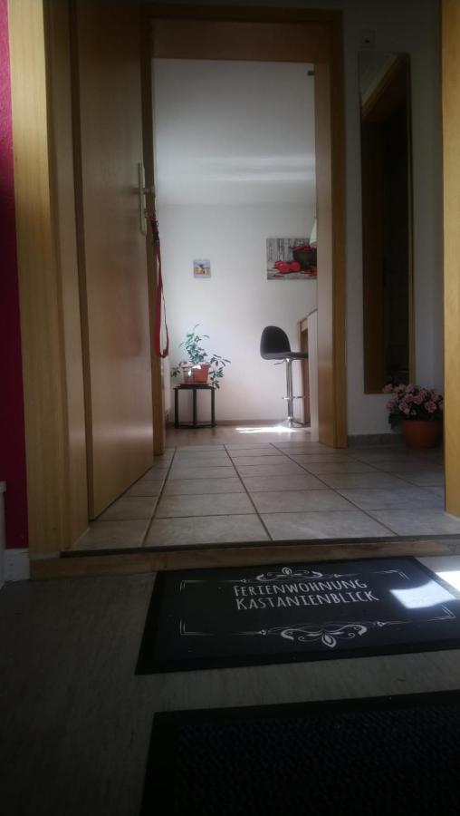 Kastanienblick Apartment Sankt Andreasberg Bagian luar foto