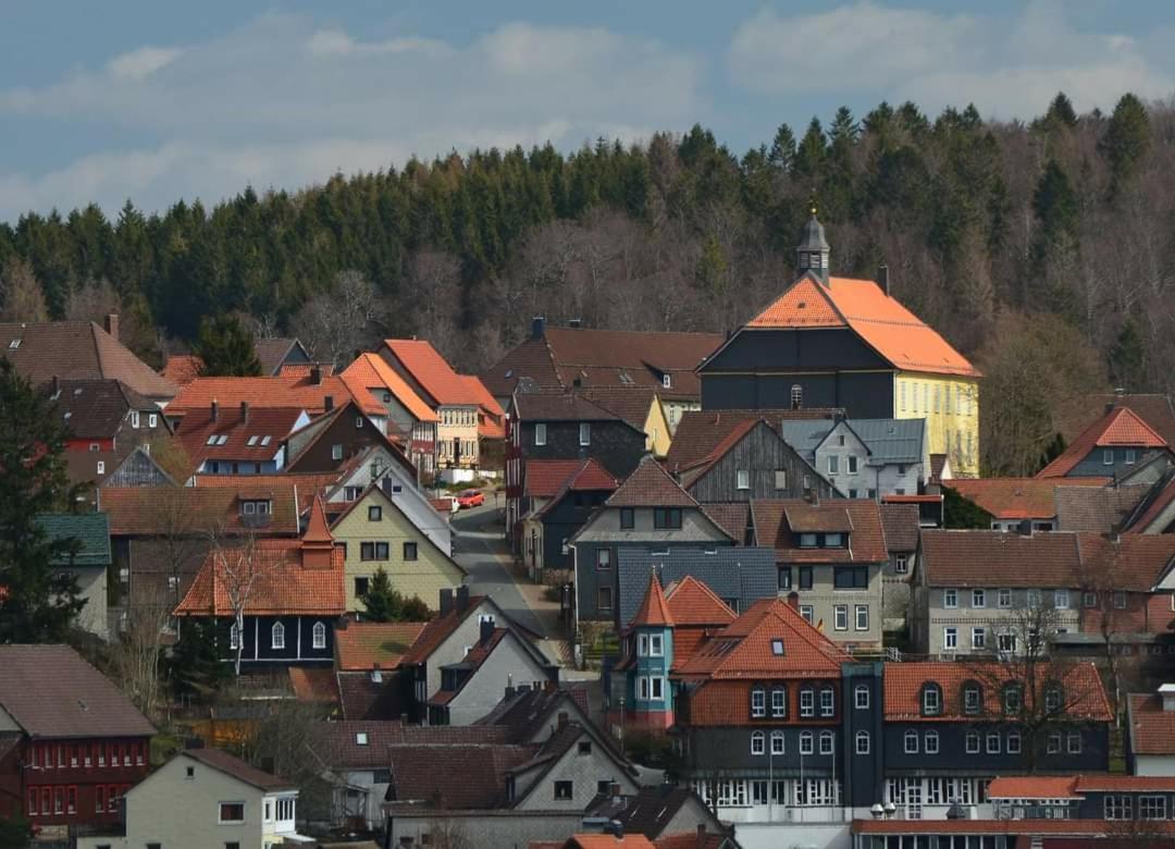 Kastanienblick Apartment Sankt Andreasberg Bagian luar foto